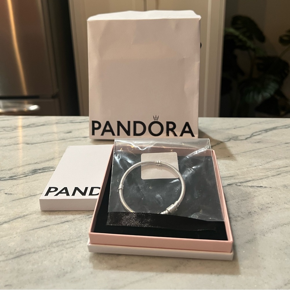 Pandora charm bracelet